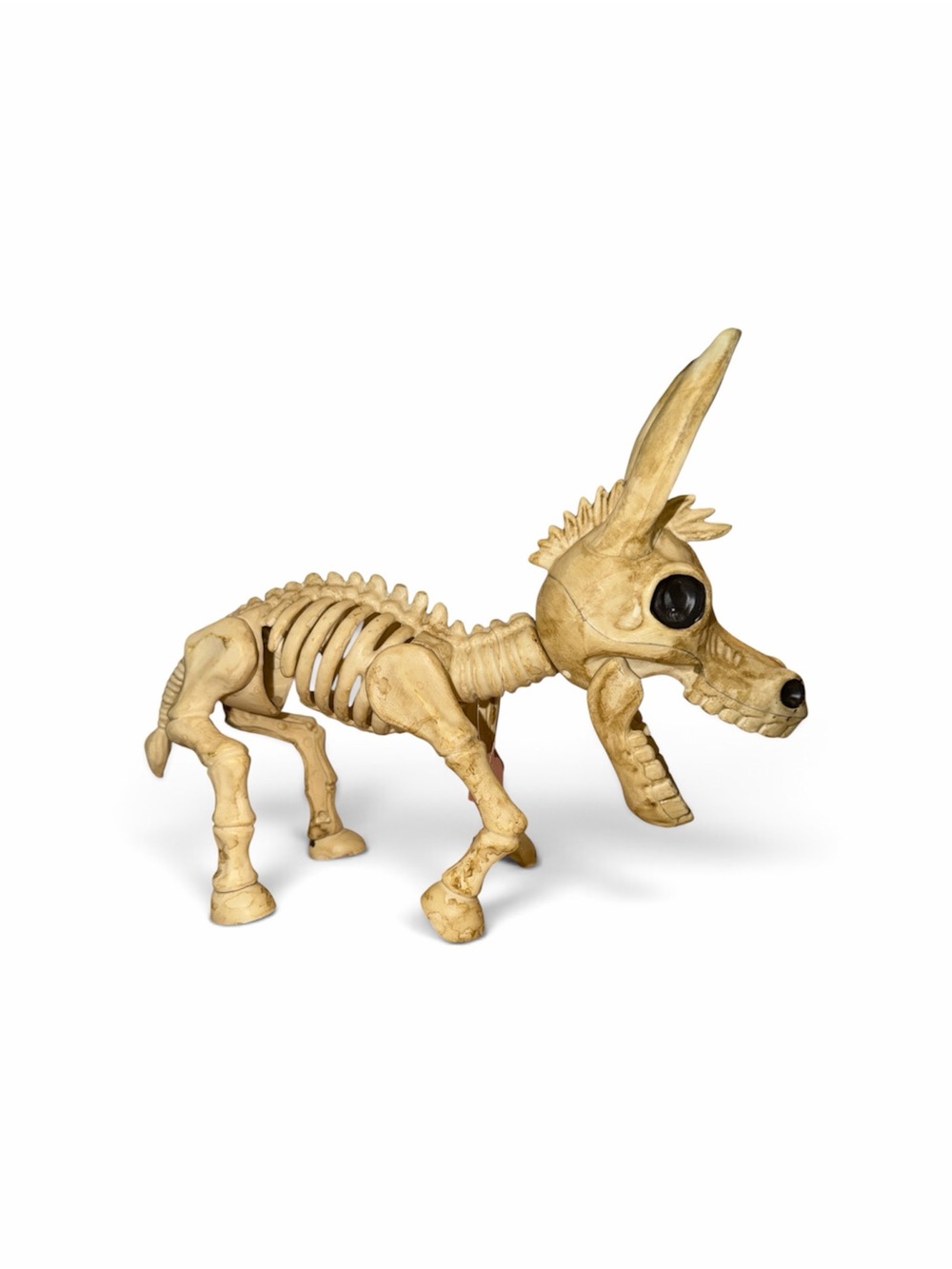 Happy Halloween Skeleton Donkey - Cream